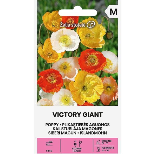 Vallmo, Sibirisk vallmo